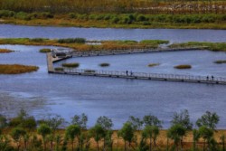 <a href="https://landscapearchitecturebuilt.com/harbin-cultural-center-wetland-park">The Harbin Cultural Center Wetland Park</a>, <br>Harbin, Heilongjiang Province, China