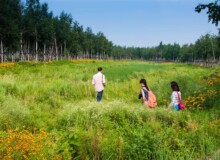 <a href="https://landscapearchitecturebuilt.com/harbin-cultural-center-wetland-park">The Harbin Cultural Center Wetland Park</a>, <br>Harbin, Heilongjiang Province, China