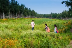 <a href="https://landscapearchitecturebuilt.com/harbin-cultural-center-wetland-park">The Harbin Cultural Center Wetland Park</a>, <br>Harbin, Heilongjiang Province, China