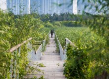 <a href="https://landscapearchitecturebuilt.com/harbin-cultural-center-wetland-park">The Harbin Cultural Center Wetland Park</a>, <br>Harbin, Heilongjiang Province, China