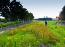 <a href="https://landscapearchitecturebuilt.com/harbin-cultural-center-wetland-park">The Harbin Cultural Center Wetland Park</a>, <br>Harbin, Heilongjiang Province, China