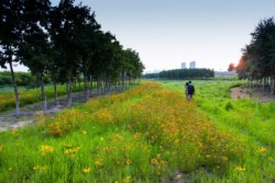<a href="https://landscapearchitecturebuilt.com/harbin-cultural-center-wetland-park">The Harbin Cultural Center Wetland Park</a>, <br>Harbin, Heilongjiang Province, China