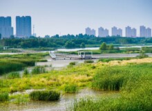 <a href="https://landscapearchitecturebuilt.com/harbin-cultural-center-wetland-park">The Harbin Cultural Center Wetland Park</a>, <br>Harbin, Heilongjiang Province, China