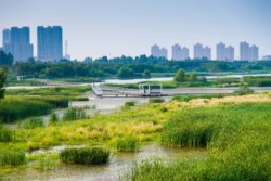 <a href="https://landscapearchitecturebuilt.com/harbin-cultural-center-wetland-park">The Harbin Cultural Center Wetland Park</a>, <br>Harbin, Heilongjiang Province, China