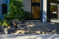 <a href="https://landscapearchitecturebuilt.com/panorama-brooklyn">Panorama Brooklyn</a>, <br>Brooklyn Heights, Brooklyn, NY, USA