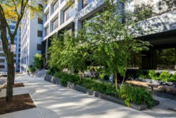 <a href="https://landscapearchitecturebuilt.com/panorama-brooklyn">Panorama Brooklyn</a>, <br>Brooklyn Heights, Brooklyn, NY, USA