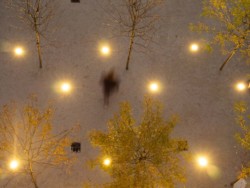 <a href="https://landscapearchitecturebuilt.com/panorama-brooklyn">Panorama Brooklyn</a>, <br>Brooklyn Heights, Brooklyn, NY, USA