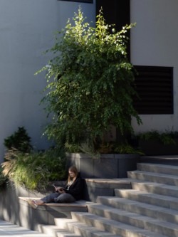 <a href="https://landscapearchitecturebuilt.com/panorama-brooklyn">Panorama Brooklyn</a>, <br>Brooklyn Heights, Brooklyn, NY, USA