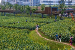 <a href="https://landscapearchitecturebuilt.com/quzhou-luming-park">Quzhou Luming Park</a>, <br>Quzhou, Zhejiang Province, China