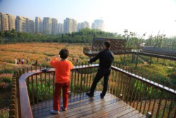 <a href="https://landscapearchitecturebuilt.com/quzhou-luming-park">Quzhou Luming Park</a>, <br>Quzhou, Zhejiang Province, China