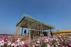 <a href="https://landscapearchitecturebuilt.com/suqian-santaishan-flower-quilt">Suqian Santaishan Flower Quilt</a>, <br>Suqian, Jiangsu Province, China