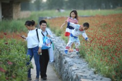<a href="https://landscapearchitecturebuilt.com/suqian-santaishan-flower-quilt">Suqian Santaishan Flower Quilt</a>, <br>Suqian, Jiangsu Province, China