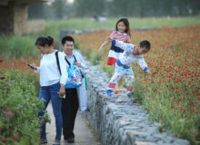 <a href="https://landscapearchitecturebuilt.com/suqian-santaishan-flower-quilt">Suqian Santaishan Flower Quilt</a>, <br>Suqian, Jiangsu Province, China