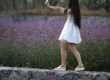 <a href="https://landscapearchitecturebuilt.com/suqian-santaishan-flower-quilt">Suqian Santaishan Flower Quilt</a>, <br>Suqian, Jiangsu Province, China