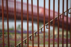 <a href="https://landscapearchitecturebuilt.com/suqian-santaishan-flower-quilt">Suqian Santaishan Flower Quilt</a>, <br>Suqian, Jiangsu Province, China