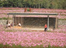 <a href="https://landscapearchitecturebuilt.com/suqian-santaishan-flower-quilt">Suqian Santaishan Flower Quilt</a>, <br>Suqian, Jiangsu Province, China