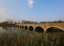 <a href="https://landscapearchitecturebuilt.com/suqian-santaishan-flower-quilt">Suqian Santaishan Flower Quilt</a>, <br>Suqian, Jiangsu Province, China