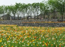 <a href="https://landscapearchitecturebuilt.com/suqian-santaishan-flower-quilt">Suqian Santaishan Flower Quilt</a>, <br>Suqian, Jiangsu Province, China
