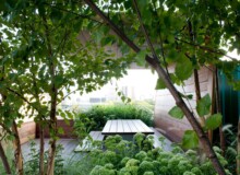 <a href="https://landscapearchitecturebuilt.com/unfolding-terrace">Unfolding Terrace</a>, <br>DUMBO, Brooklyn, NY, USA