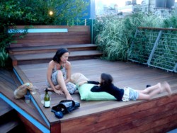 <a href="https://landscapearchitecturebuilt.com/unfolding-terrace">Unfolding Terrace</a>, <br>DUMBO, Brooklyn, NY, USA