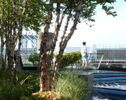 <a href="https://landscapearchitecturebuilt.com/unfolding-terrace">Unfolding Terrace</a>, <br>DUMBO, Brooklyn, NY, USA