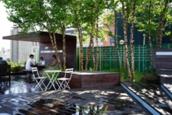 <a href="https://landscapearchitecturebuilt.com/unfolding-terrace">Unfolding Terrace</a>, <br>DUMBO, Brooklyn, NY, USA