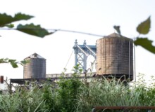 <a href="https://landscapearchitecturebuilt.com/unfolding-terrace">Unfolding Terrace</a>, <br>DUMBO, Brooklyn, NY, USA