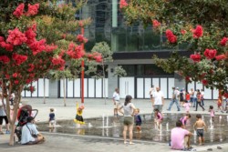 <a href="https://landscapearchitecturebuilt.com/darling-harbour-public-realm">Darling Harbour Public Realm</a>, <br>Sydney, Australia