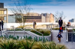 <a href="https://landscapearchitecturebuilt.com/816-congress-avenue-rooftop">816 Congress Avenue Rooftop Terrace</a>, <br>Austin, TX, USA