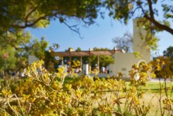 <a href="https://landscapearchitecturebuilt.com/sunset-heritage-precinct">Sunset Heritage Precinct</a>, <br>Perth, Australia