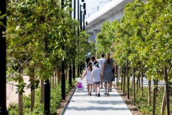 <a href="https://landscapearchitecturebuilt.com/north-west-metro">North West Metro</a>, <br>Sydney, Australia