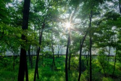 <a href="https://landscapearchitecturebuilt.com/aranya-park">Aranya Park</a>, <br>Beidaihe, China