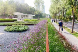 <a href="https://landscapearchitecturebuilt.com/aranya-park">Aranya Park</a>, <br>Beidaihe, China