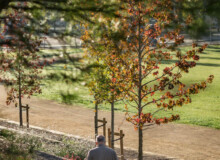 <a href="https://landscapearchitecturebuilt.com/igualada-central-park">Igualada Central Park</a>, <br>Barcelona, Spain