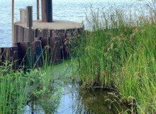 <a href="https://landscapearchitecturebuilt.com/erie-street-plaza">Erie Street Plaza</a>, <br>Milwaukee, WI, USA