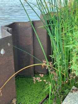 <a href="https://landscapearchitecturebuilt.com/erie-street-plaza">Erie Street Plaza</a>, <br>Milwaukee, WI, USA