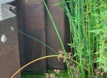 <a href="https://landscapearchitecturebuilt.com/erie-street-plaza">Erie Street Plaza</a>, <br>Milwaukee, WI, USA