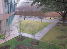 <a href="https://landscapearchitecturebuilt.com/fareground-at-one-eleven">Fareground at One Eleven</a>, <br>Austin, TX, USA