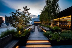 <a href="https://landscapearchitecturebuilt.com/the-flatiron-institute">The Flatiron Institute</a>, <br>New York, NY, USA
