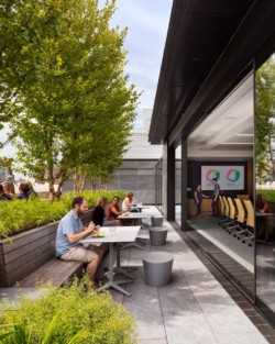 <a href="https://landscapearchitecturebuilt.com/the-flatiron-institute">The Flatiron Institute</a>, <br>New York, NY, USA