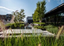 <a href="https://landscapearchitecturebuilt.com/the-flatiron-institute">The Flatiron Institute</a>, <br>New York, NY, USA