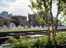 <a href="https://landscapearchitecturebuilt.com/the-flatiron-institute">The Flatiron Institute</a>, <br>New York, NY, USA