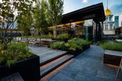 <a href="https://landscapearchitecturebuilt.com/the-flatiron-institute">The Flatiron Institute</a>, <br>New York, NY, USA