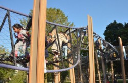 <a href="https://landscapearchitecturebuilt.com/frederik-hendrikplantsoen">Frederik Hendrikplantsoen</a>, <br>Amsterdam, Netherlands