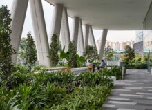 <a href="https://landscapearchitecturebuilt.com/gsk-asia-house">GSK Asia House</a>, <br>Singapore