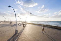 <a href="https://landscapearchitecturebuilt.com/tel-aviv-port">Tel Aviv Port</a>, <br>Tel Aviv, Israel