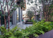 <a href="https://landscapearchitecturebuilt.com/pinterest-mews">Pinterest Mews</a>, <br>San Francisco, CA, USA