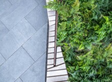 <a href="https://landscapearchitecturebuilt.com/pinterest-mews">Pinterest Mews</a>, <br>San Francisco, CA, USA