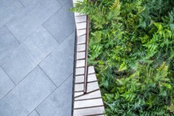 <a href="https://landscapearchitecturebuilt.com/pinterest-mews">Pinterest Mews</a>, <br>San Francisco, CA, USA