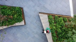 <a href="https://landscapearchitecturebuilt.com/pinterest-mews">Pinterest Mews</a>, <br>San Francisco, CA, USA